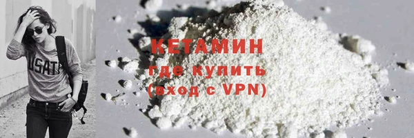 шишки Горняк