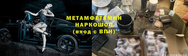 шишки Горняк