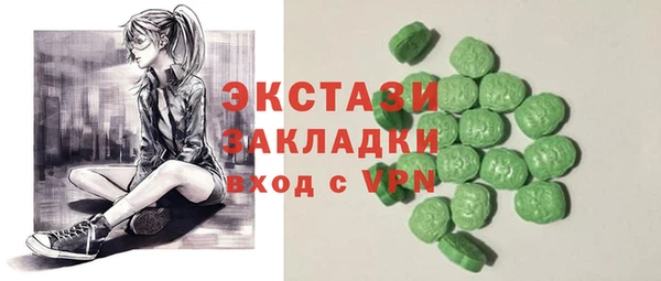 шишки Горняк