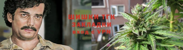 шишки Горняк