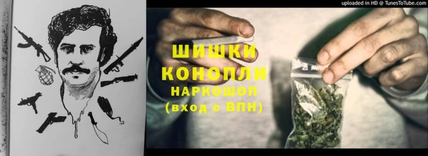 твердый Вяземский