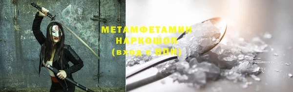 шишки Горняк