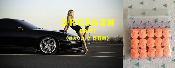 шишки Горняк