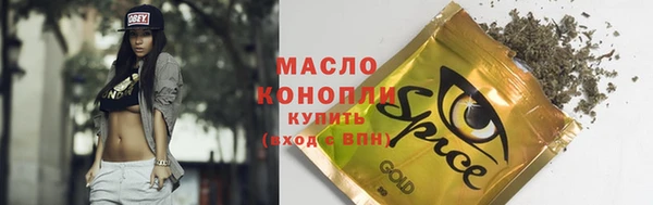 шишки Горняк