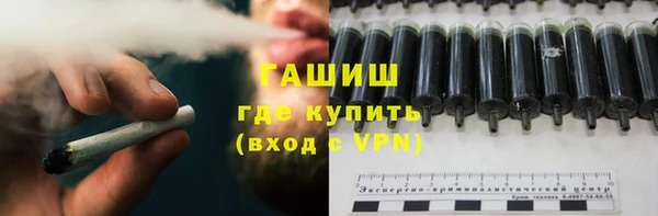шишки Горняк
