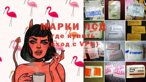 твердый Вяземский