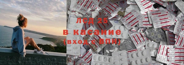 шишки Горняк
