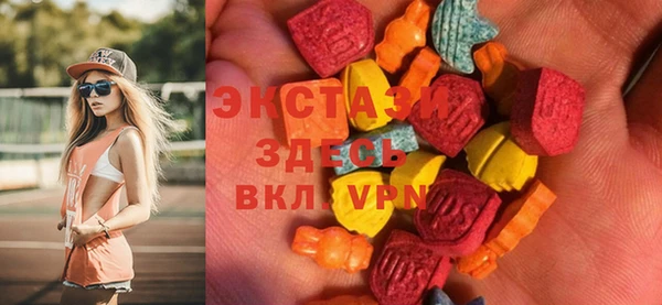 шишки Горняк