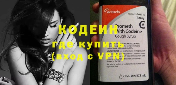 шишки Горняк