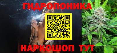 дурь Гатчина