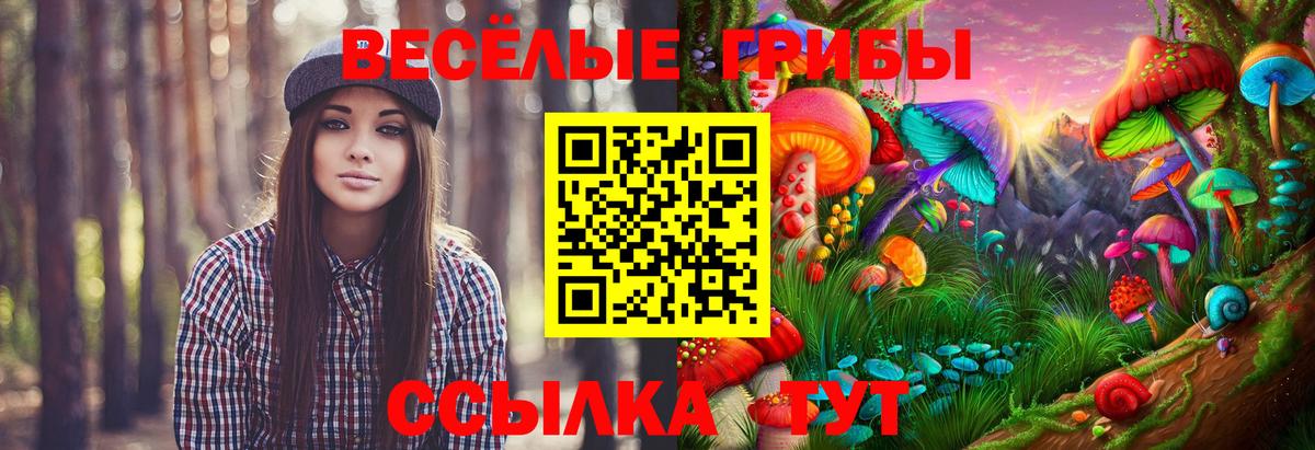 Псилоцибиновые грибы Cubensis  Гагарин  хочу наркоту  Псилоцибиновые грибы мицелий 