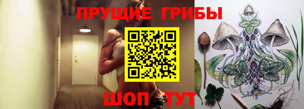 Гагарин  цена наркотик  Вход с VPN  Галлюциногенные грибы Psilocybine cubensis  Галлюциногенные грибы прущие грибы 