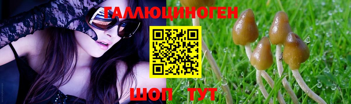 Псилоцибиновые грибы MAGIC MUSHROOMS Гагарин