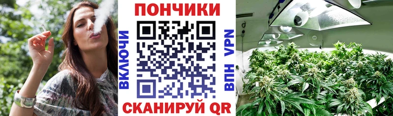 Шишки марихуана гибрид Гагарин
